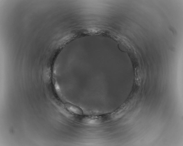 X0000111020563200907171857