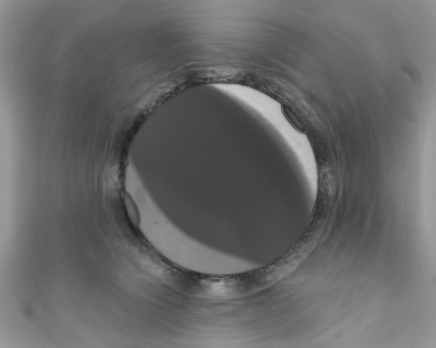 X0000111020564200907171857