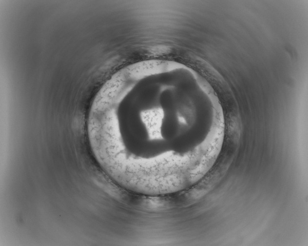 X0000111020565200907171857