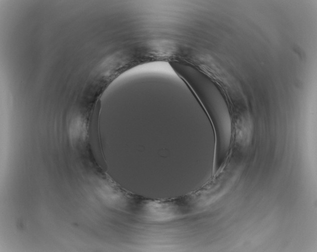 X0000111020568200907171857