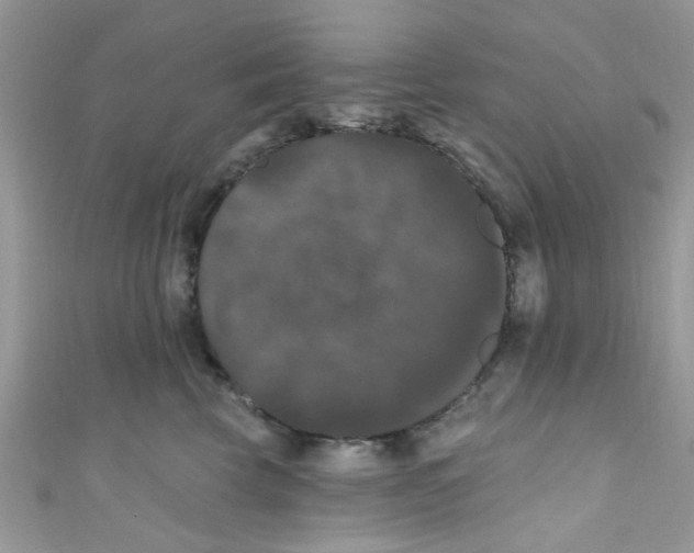 X0000111020569200907171857
