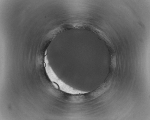 X0000111020571200907171857