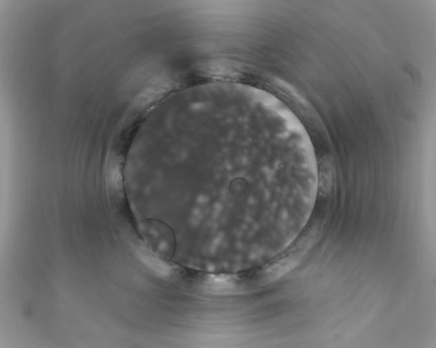 X0000111020573200907171857