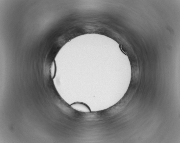 X0000111020574200907171857