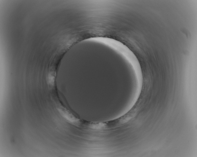 X0000111020576200907171857