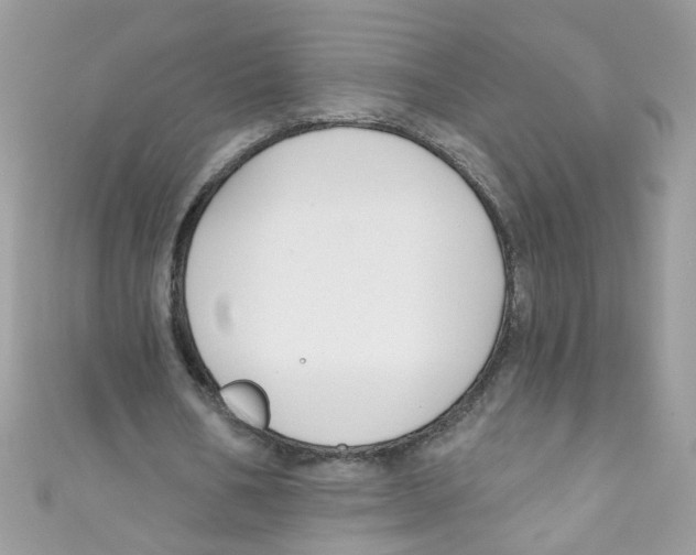 X0000111020578200907171857