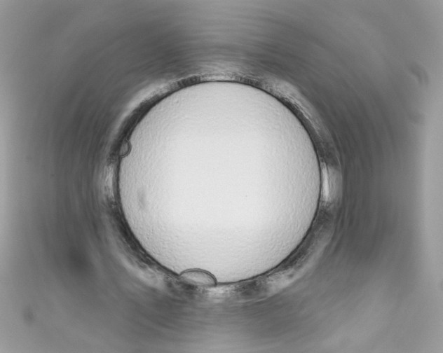 X0000111020579200907171857