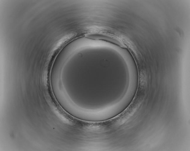 X0000111020581200907171857