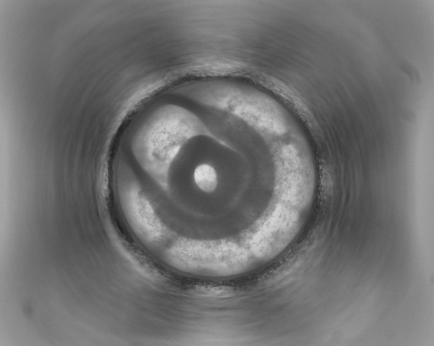 X0000111020582200907171857
