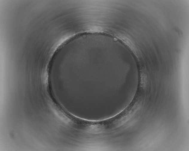 X0000111020584200907171857
