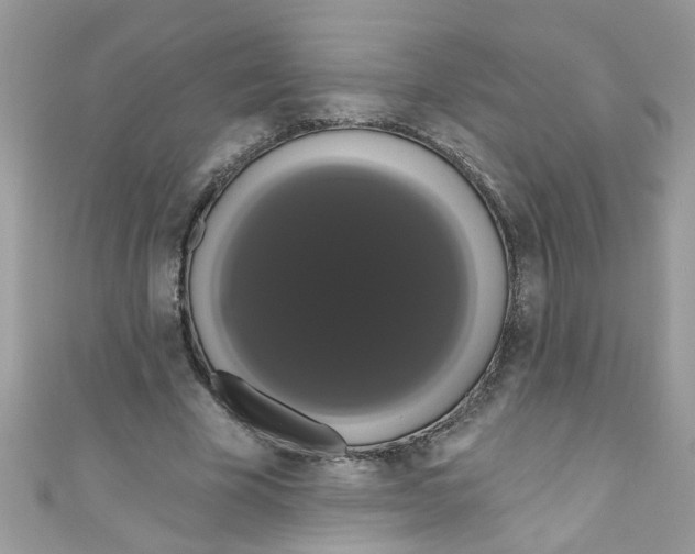 X0000111020585200907171857