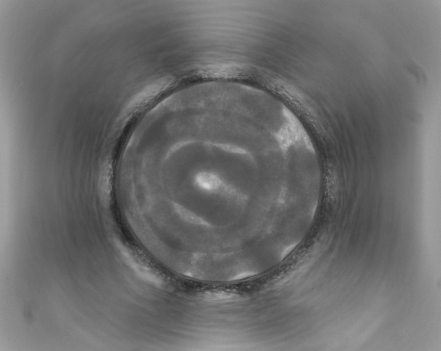 X0000111020586200907171857