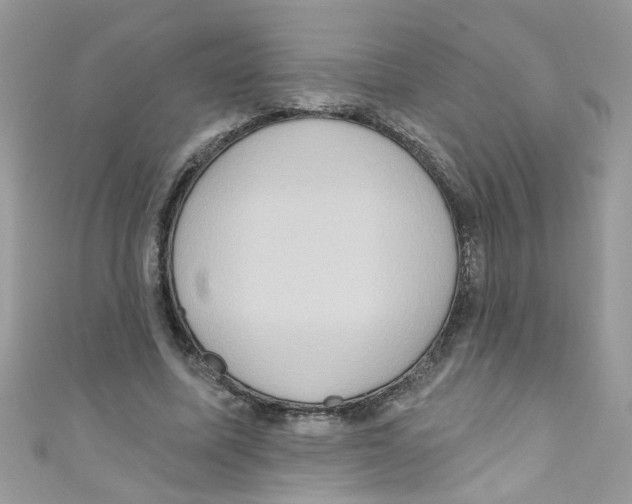 X0000111020587200907171857