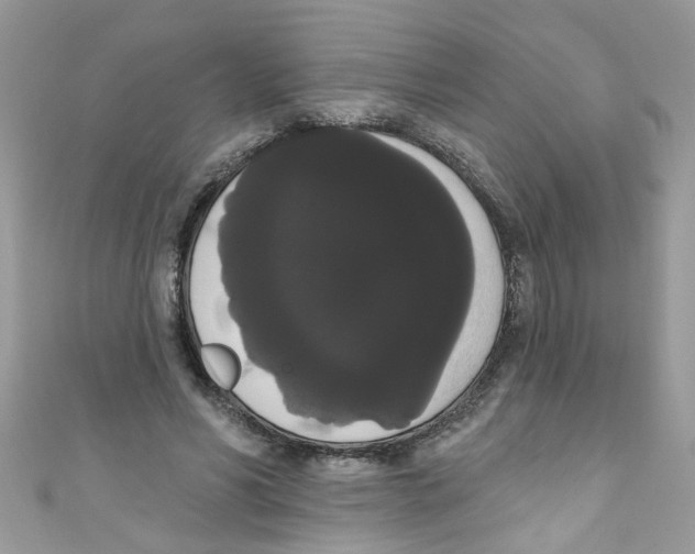 X0000111020590200907171857
