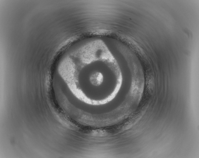 X0000111020591200907171857