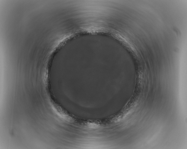 X0000111020592200907171857