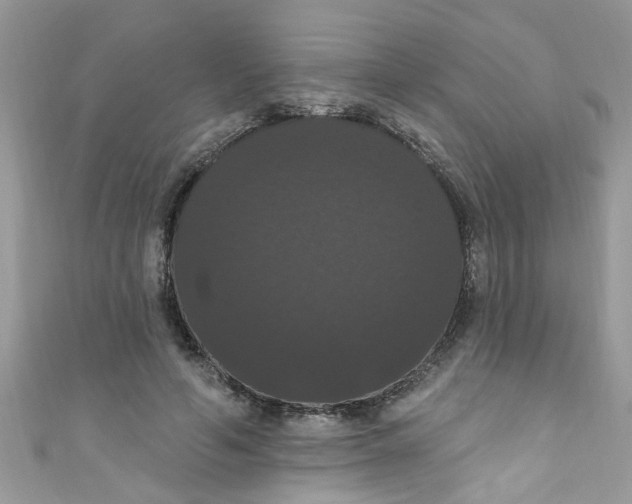 X0000111020594200907171857