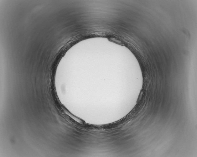 X0000111020595200907171857