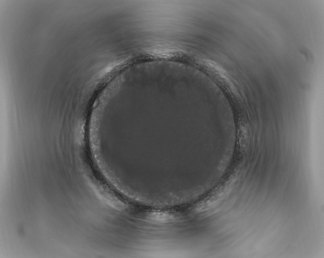 X0000111020596200907171857