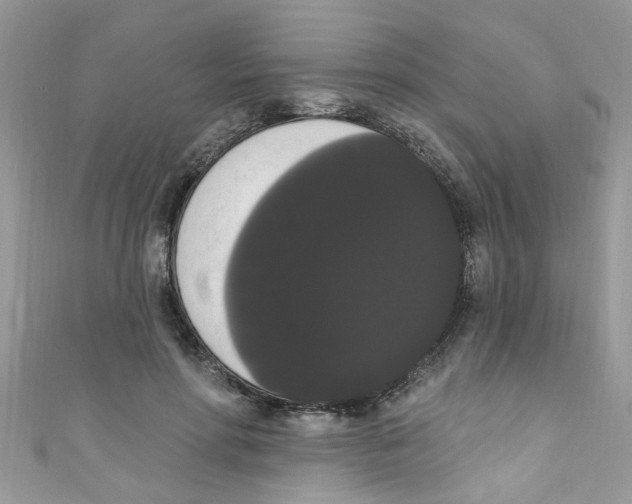 X0000111020598200907171857