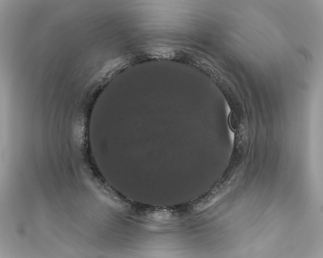 X0000111020600200907171857
