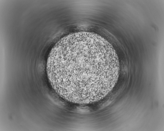 X0000111020603200907171857