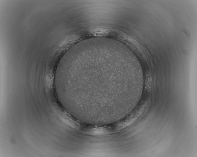 X0000111020604200907171857