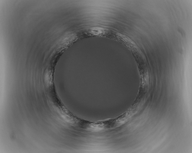 X0000111020606200907171857