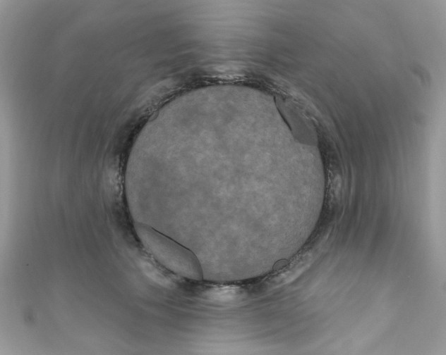 X0000111020609200907171856
