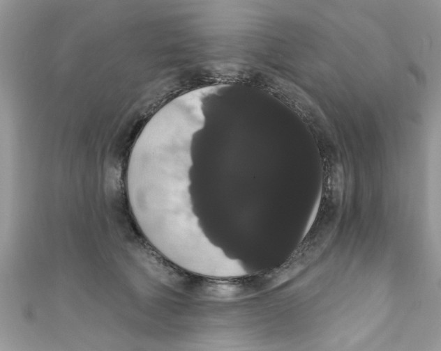 X0000111020610200907171856