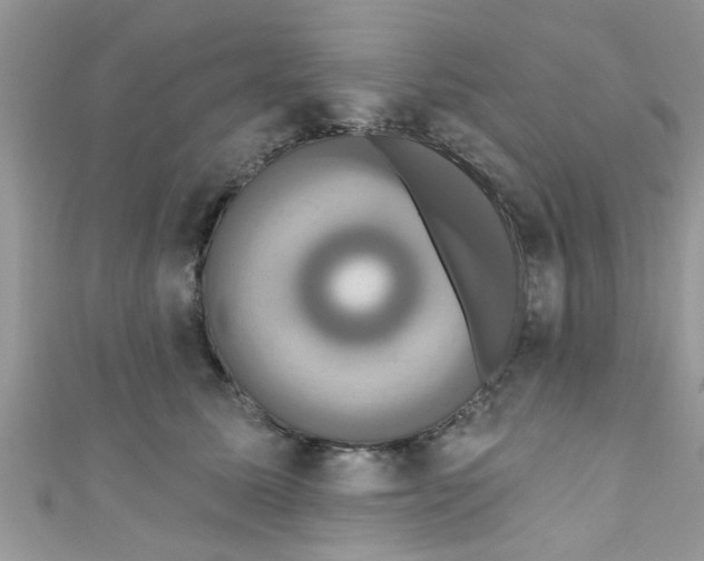 X0000111020611200907171856