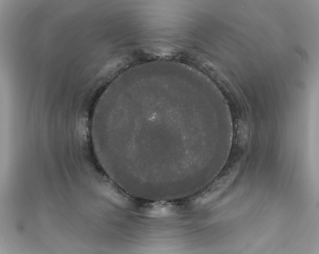 X0000111020612200907171856
