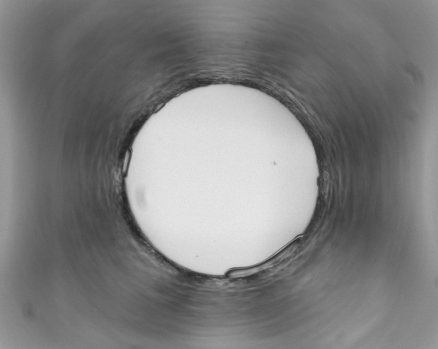 X0000111020613200907171856