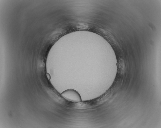 X0000111020614200907171856