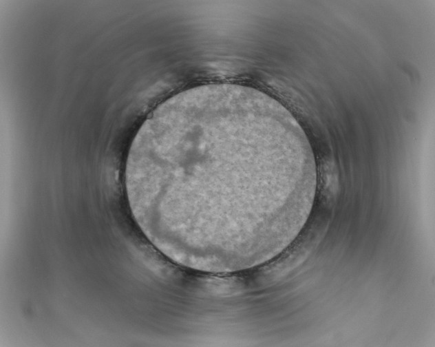 X0000111020615200907171856