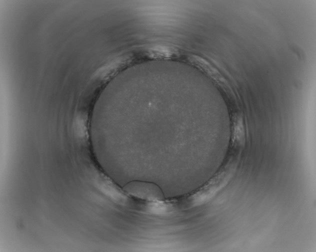 X0000111020616200907171856