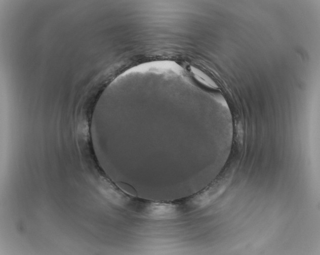 X0000111020617200907171856