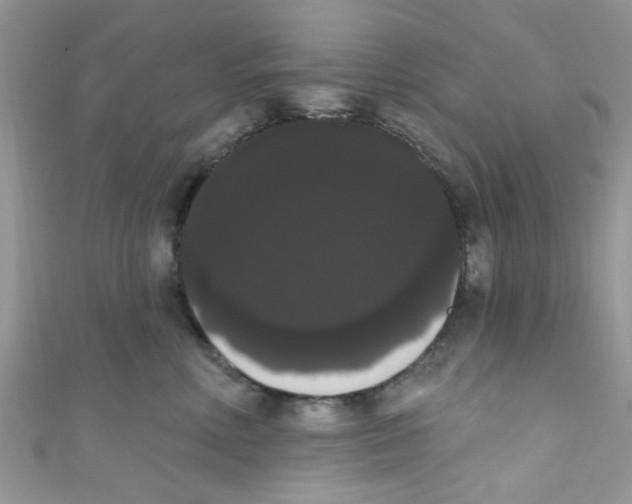 X0000111020618200907171856