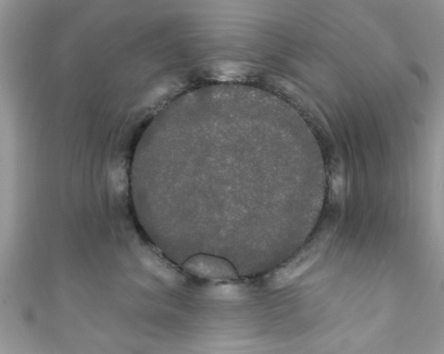 X0000111020620200907171856