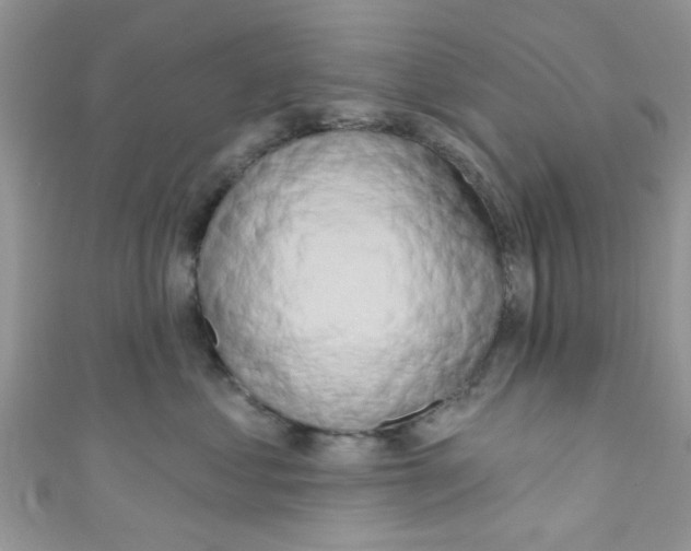 X0000111020621200907171856