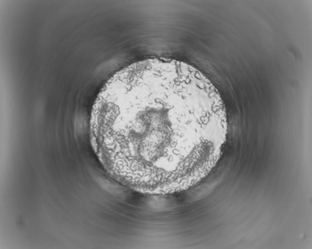 X0000111020623200907171856