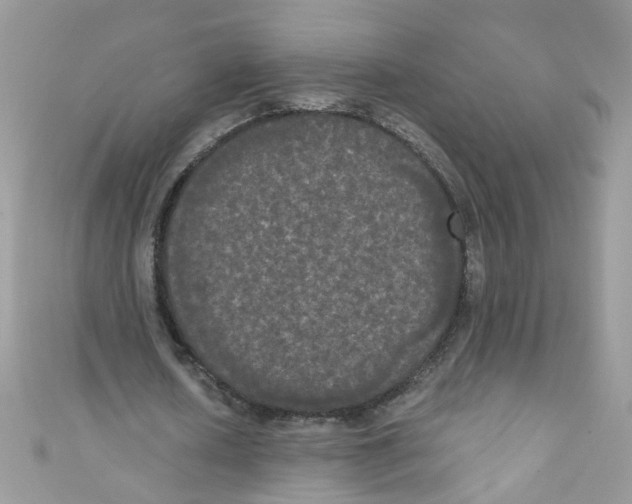 X0000111020626200907171856