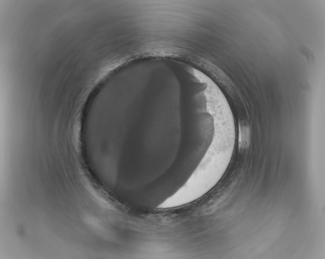 X0000111020627200907171856
