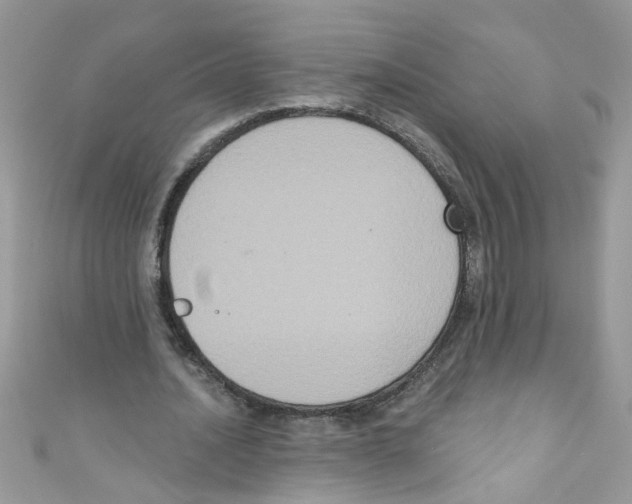 X0000111020628200907171856