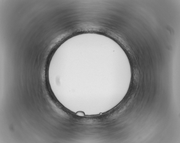 X0000111020629200907171856