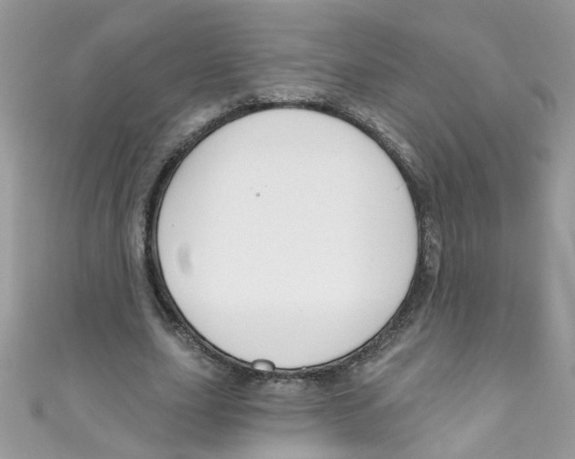 X0000111020631200907171856