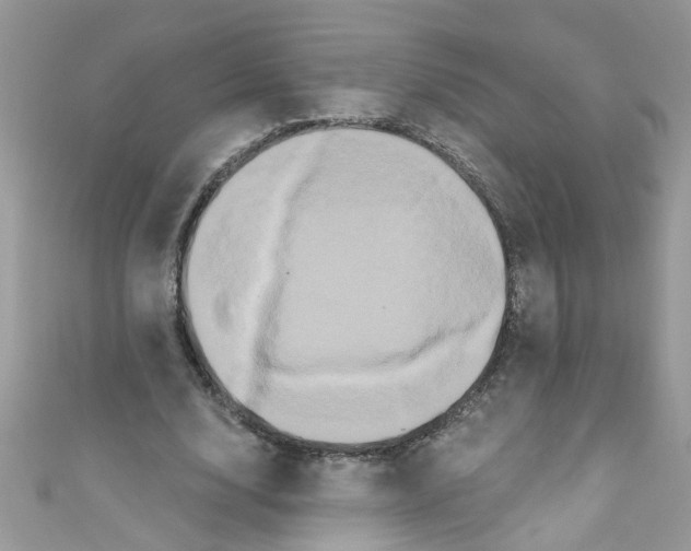 X0000111020632200907171856