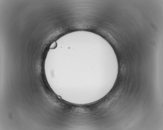 X0000111020635200907171856