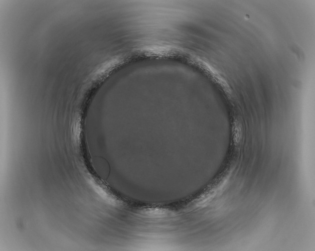 X0000111020637200907171856