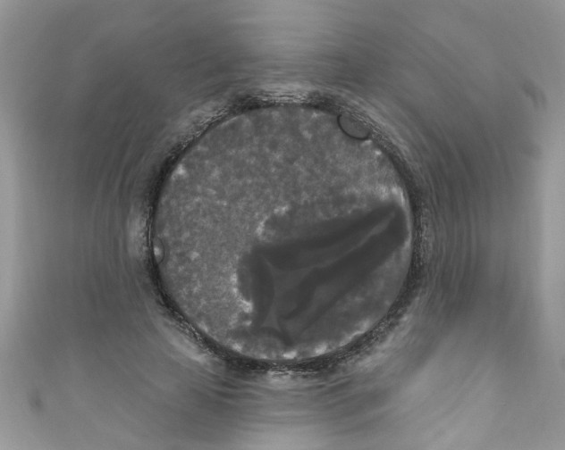 X0000111020641200907171856